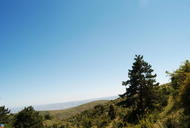 Tekke Dağı Tabiat Parkı Kamp Alanı